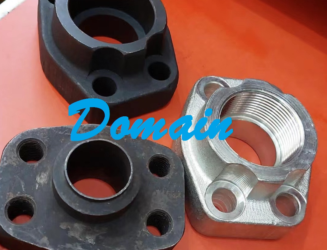 Domain Flange